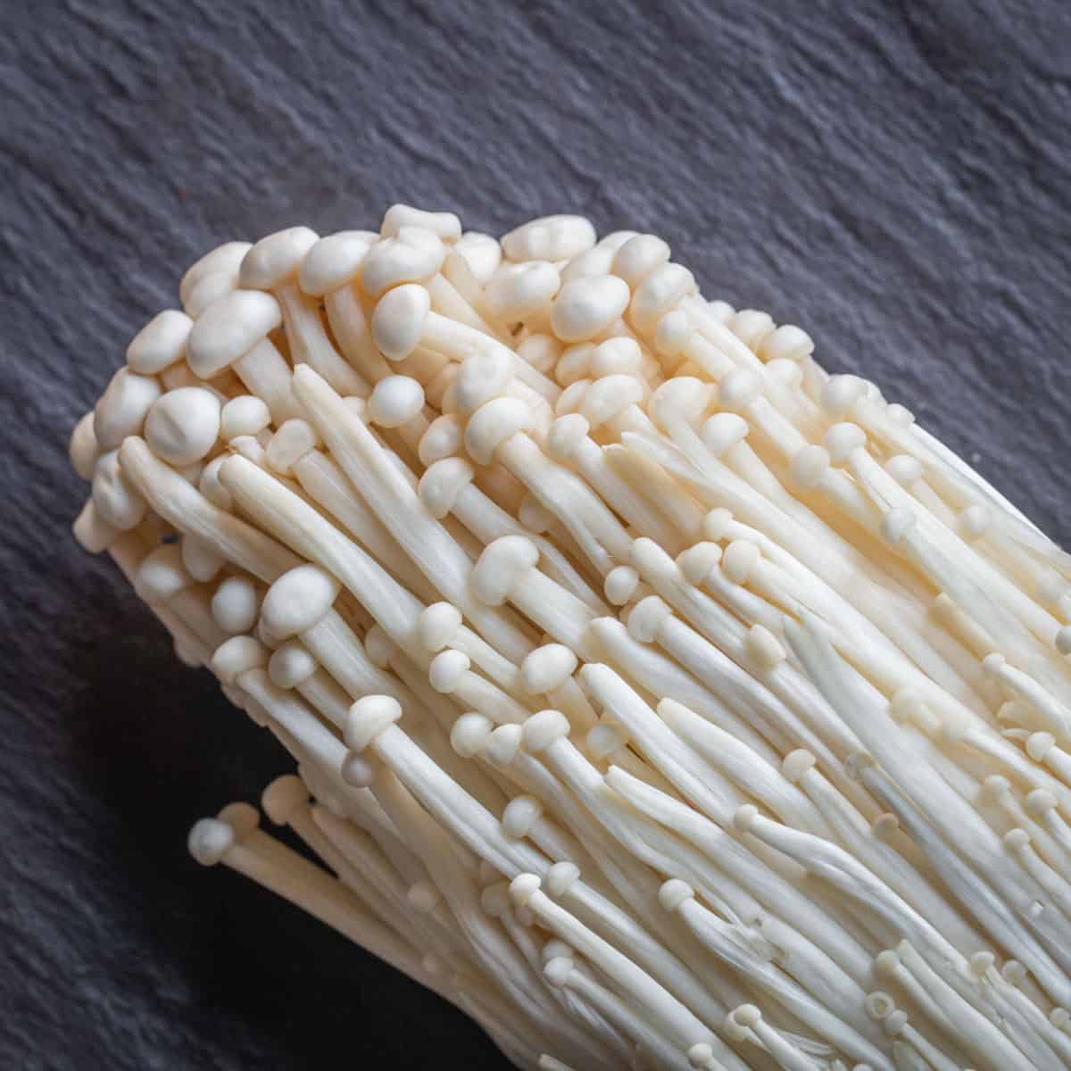 Enoki mushroom strain (Flammulina velutipes) - best quality, fresh, mushroom mycelium spawn, on rye grain