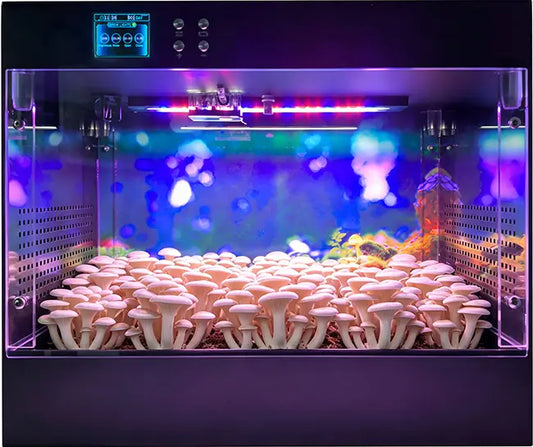 mushroom grow box