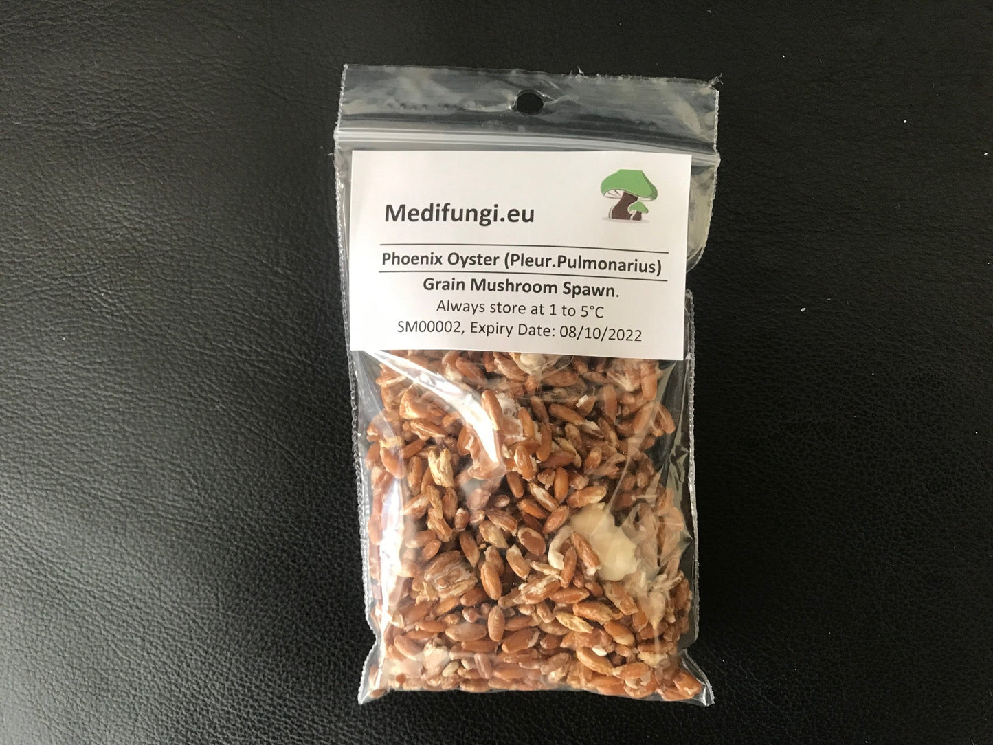 Best quality, fresh, mushroom mycelium spawn, on rye grain - 40g strain sample - Medifungi