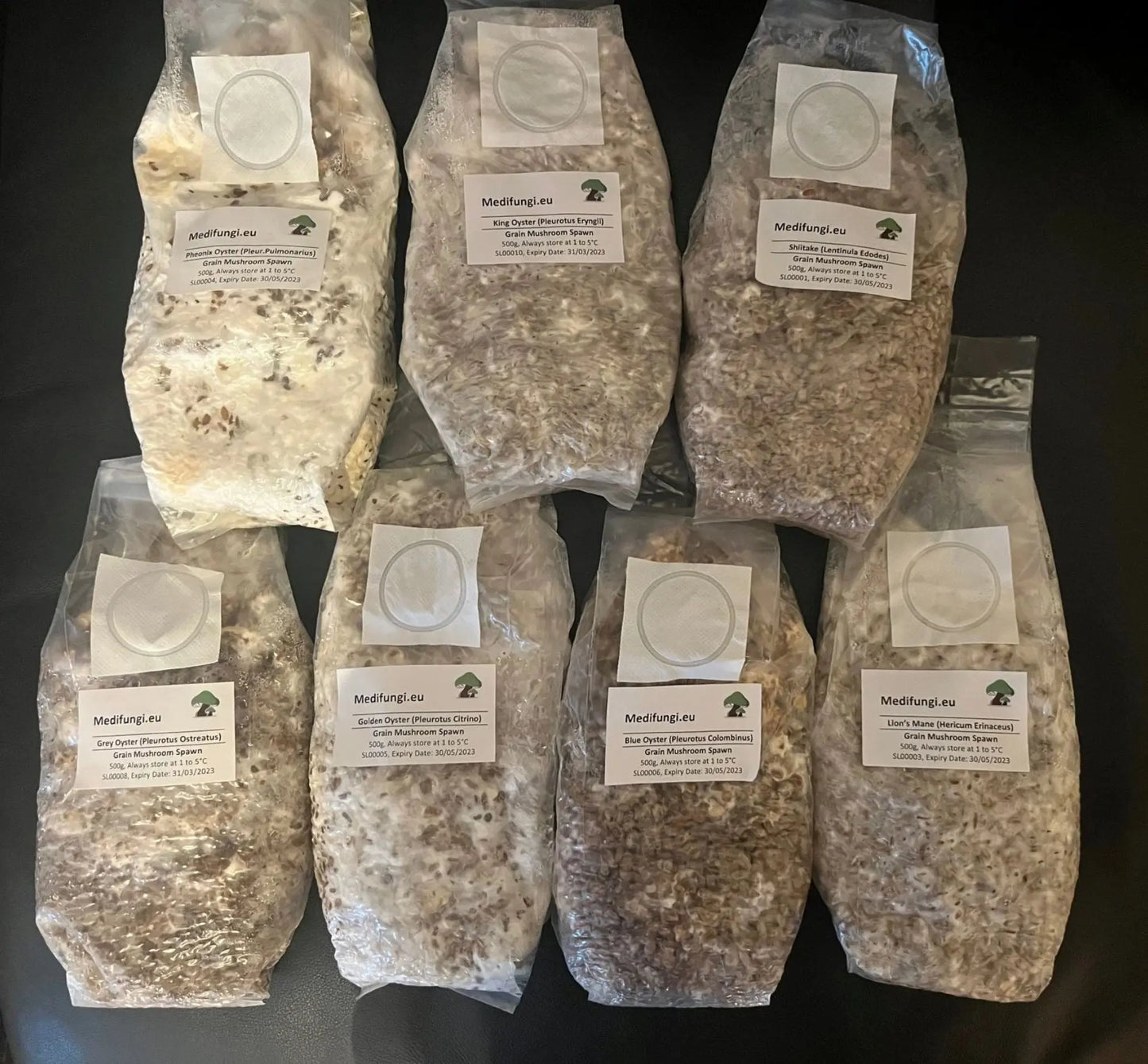 Chestnut Mushroom spawn strain (Pholiota adiposa) - best quality, fresh, mushroom mycelium spawn, on rye grain - Medifungi