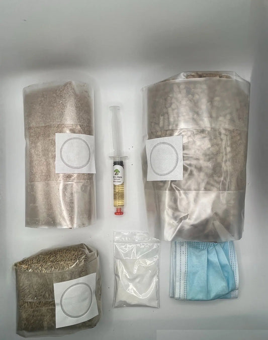 Mycological Kit - Educational - Advanced - Grow your own mushrooms project - Medifungi