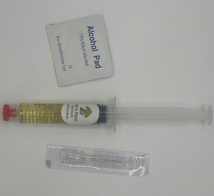 Premium Mushroom Mycelium Liquid Culture Spawn - Medifungi