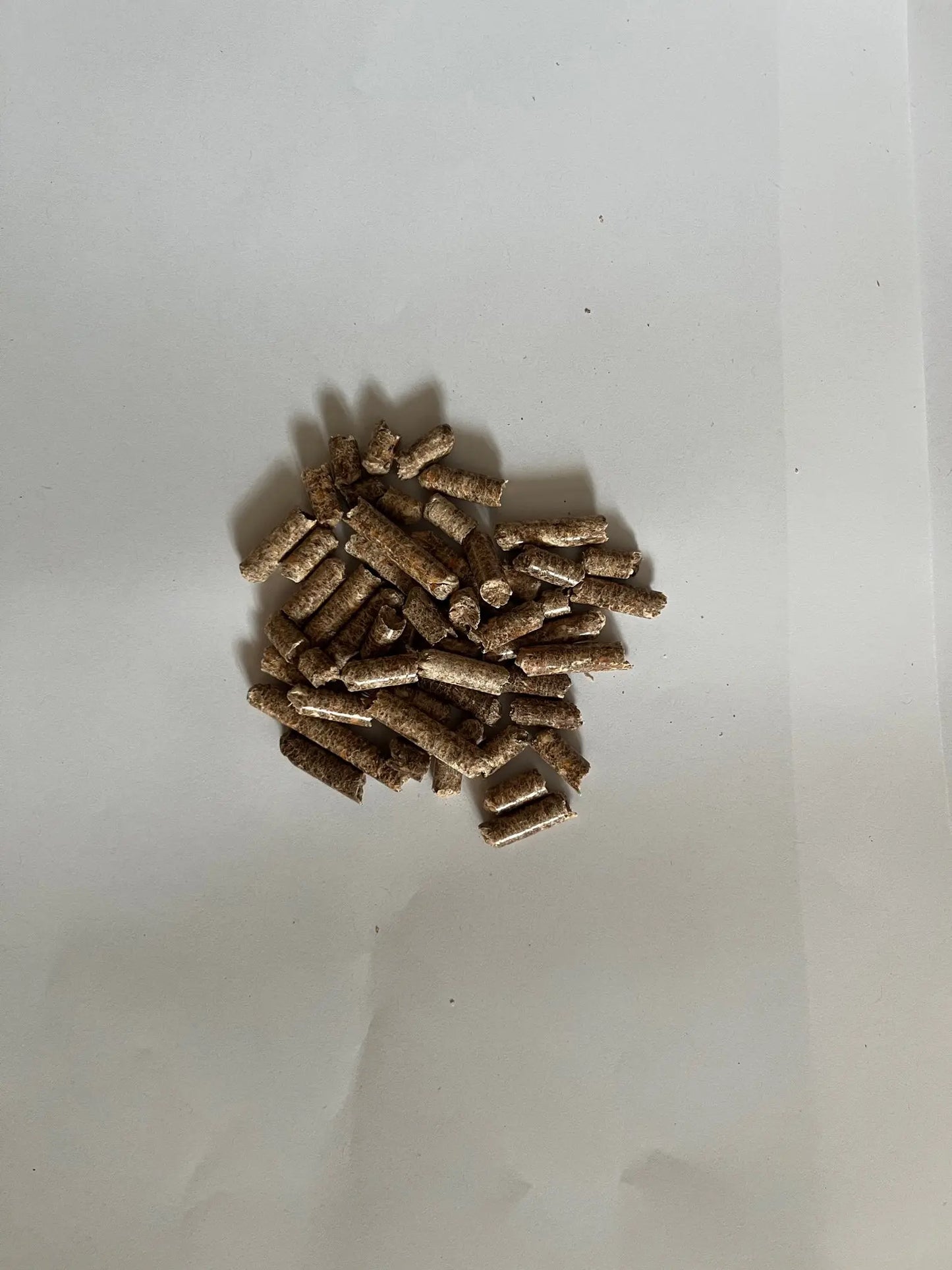 Premium Oak Wood Pellets for Superior Mycelium Growth - Medifungi