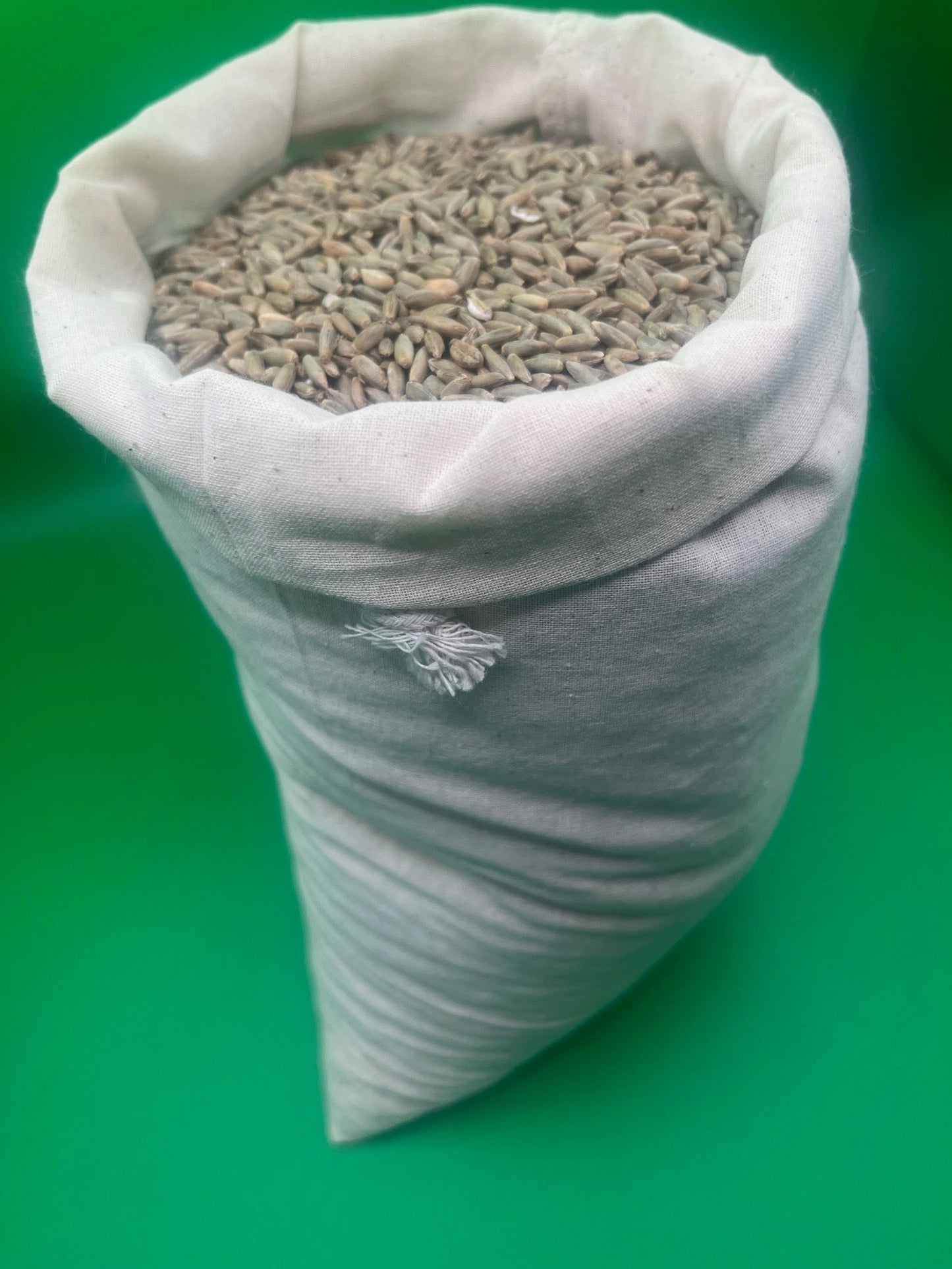 Rye Grain - For resiliant, consistent mycelium growth - Medifungi