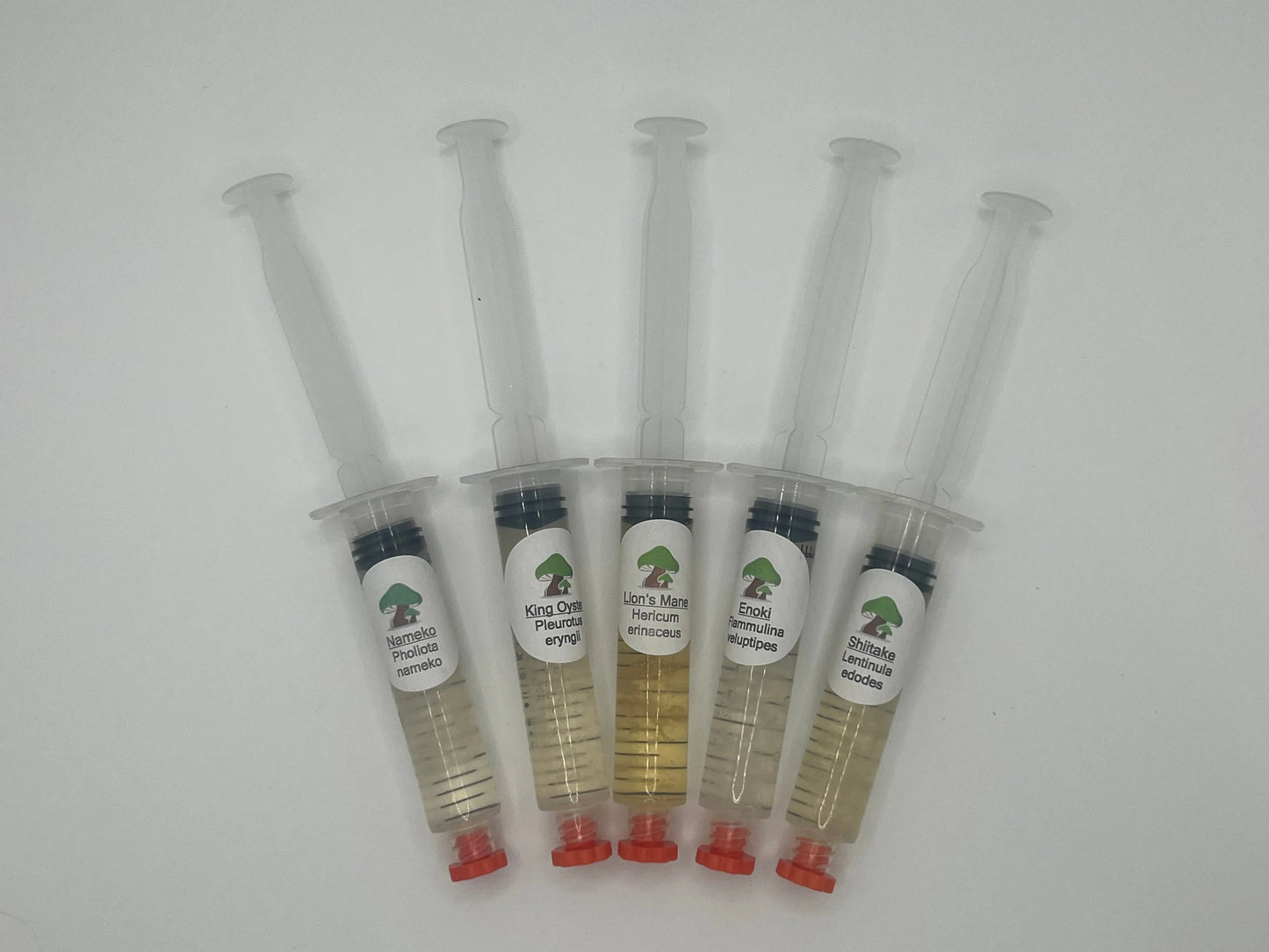 Liquid Culture Deal: 5-Pack Offer Medifungi