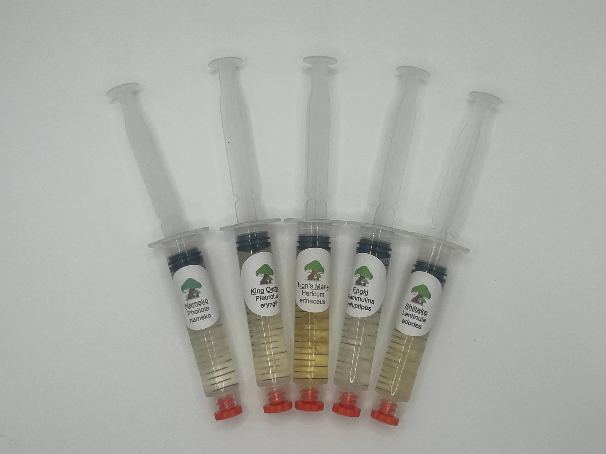 Liquid Culture Deal: 5-Pack Offer Medifungi