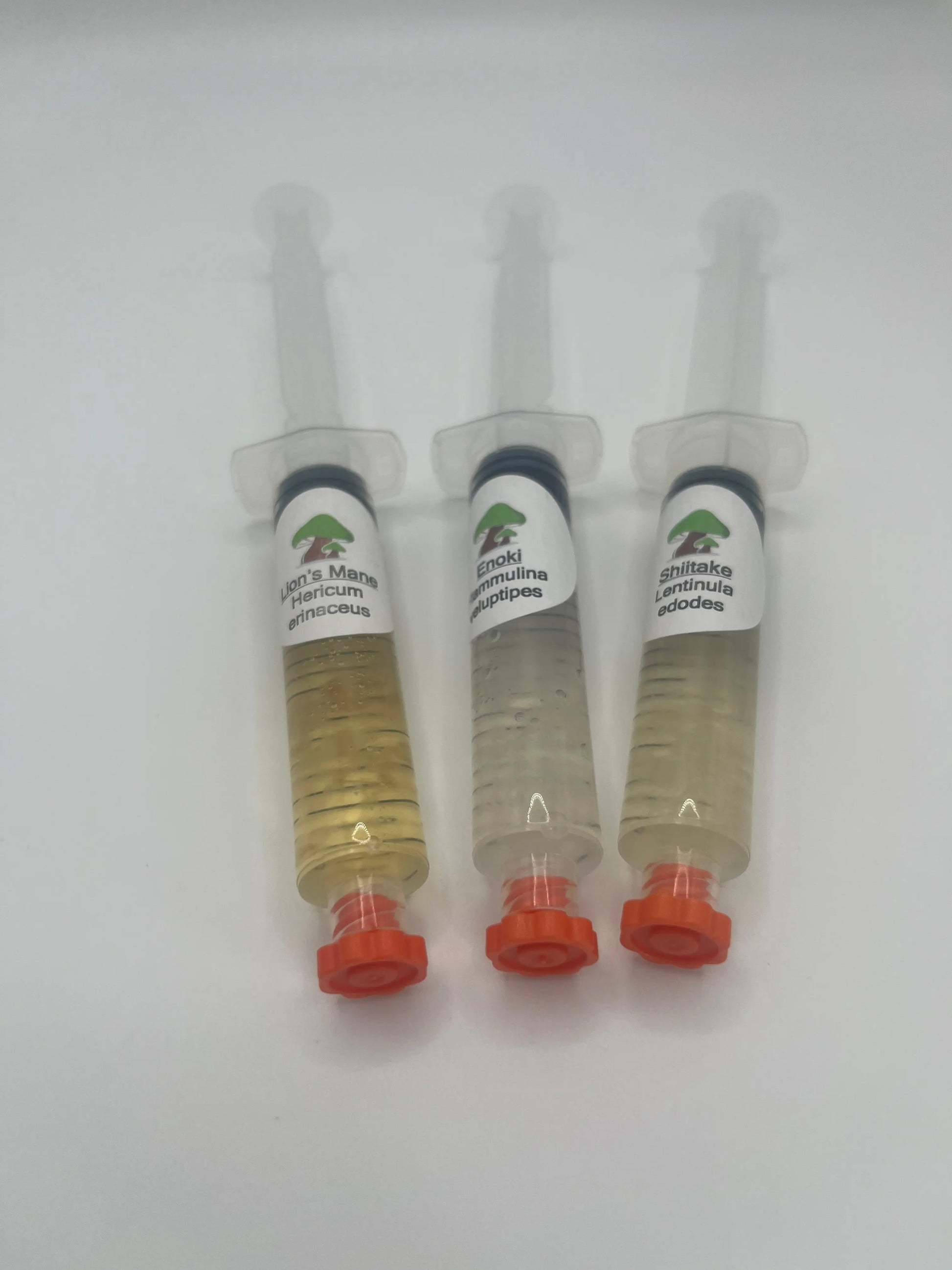 Liquid Culture Deal: 3-Pack offer Medifungi