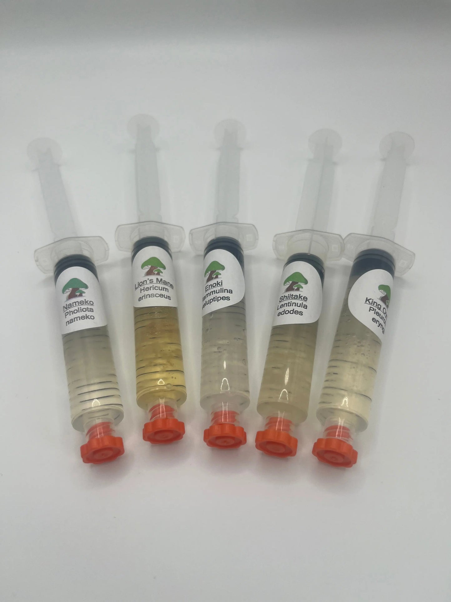 Liquid Culture Deal: 5-Pack Offer Medifungi