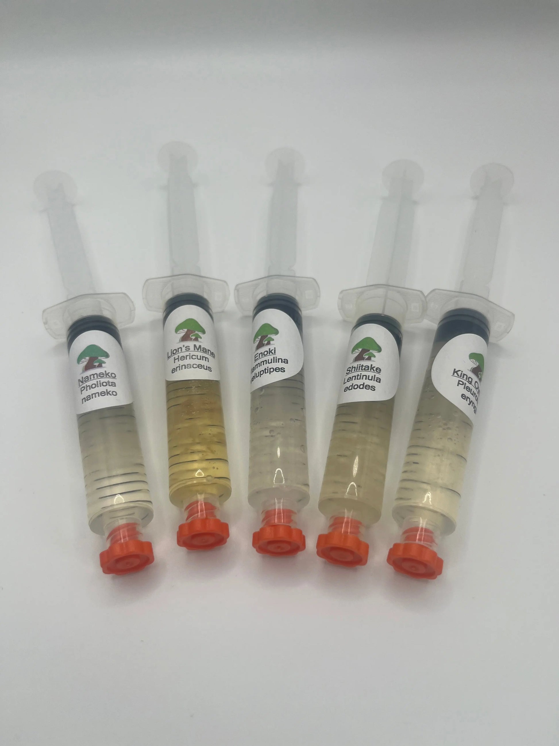 Liquid Culture Deal: 5-Pack Offer Medifungi