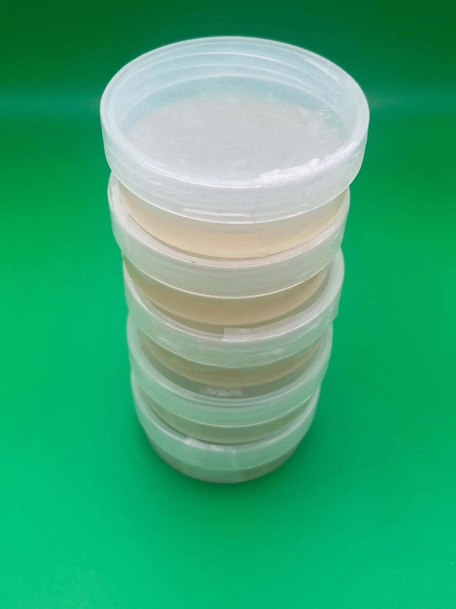 Sterile Agar plates for mycelium laboratory tests - 5 Pack Medifungi