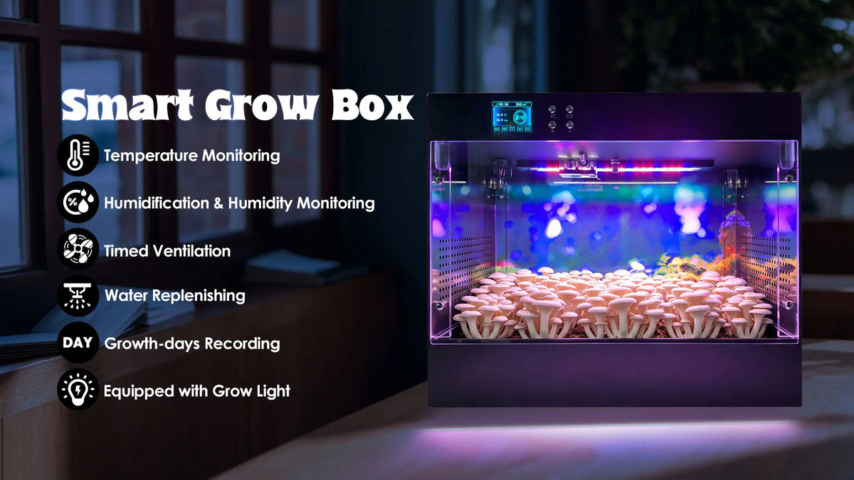 Mushroom Grow Box  - Consistently fruit mushrooms at home - Educational