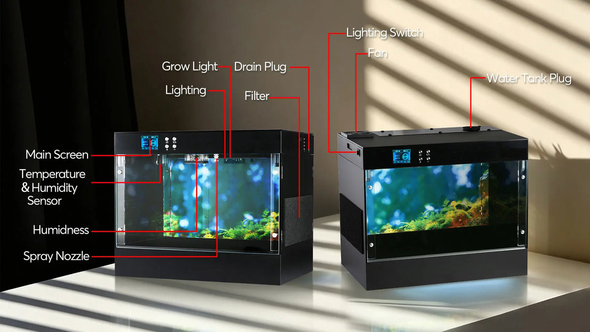 Mushroom Grow Box  - Consistently fruit mushrooms at home - Educational