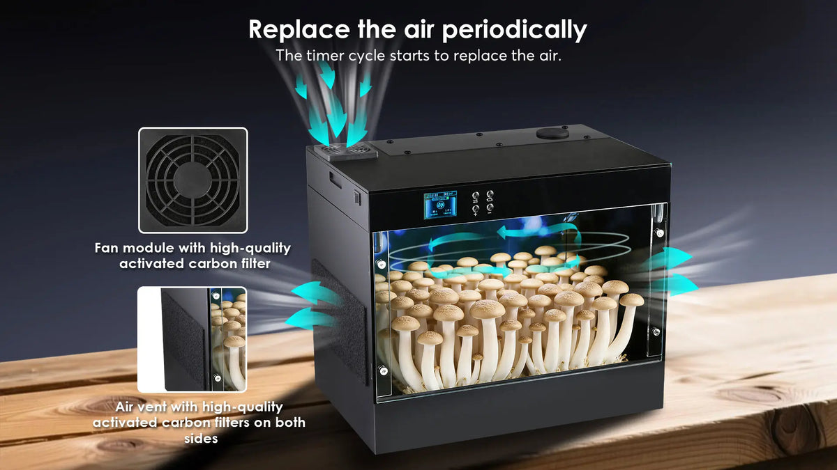 Mushroom Grow Box  - Consistently fruit mushrooms at home - Educational