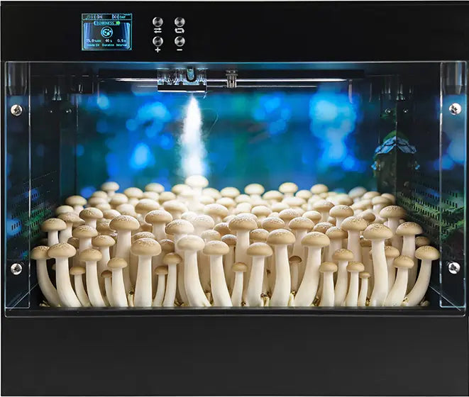 Mushroom Grow Box  - Consistently fruit mushrooms at home - Educational