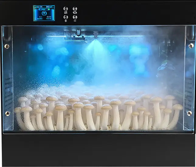 Mushroom Grow Box  - Consistently fruit mushrooms at home - Educational