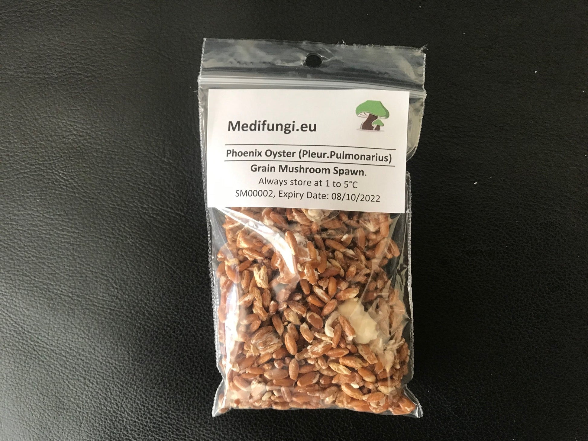Best quality, fresh, mushroom mycelium spawn, on rye grain - 40g strain sample - Medifungi