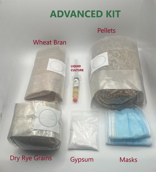 Mycological Kit - Educational - Advanced - Grow your own mushrooms project - Medifungi