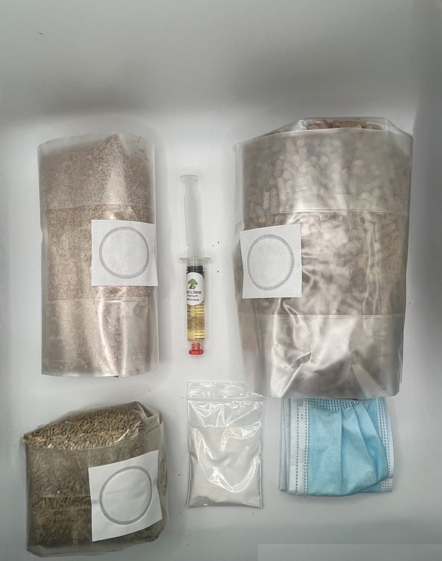 Mycological Kit - Educational - Advanced - Grow your own mushrooms project - Medifungi