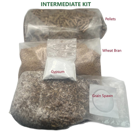 Mycological Kit - Educational - Intermediate - Grow your own mushrooms project - Medifungi
