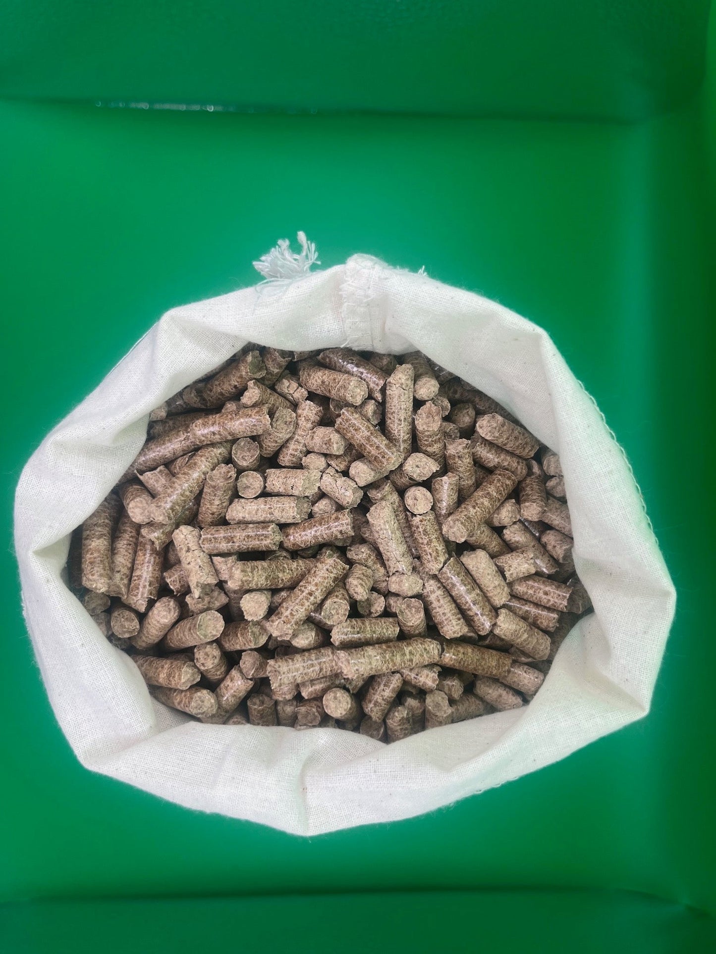 Oak wood pellets for mycelium substrates - Medifungi