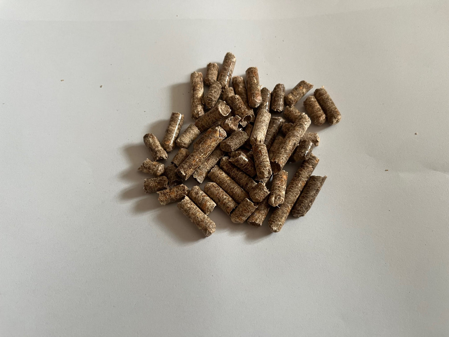 Premium Oak Wood Pellets for Superior Mycelium Growth - Medifungi