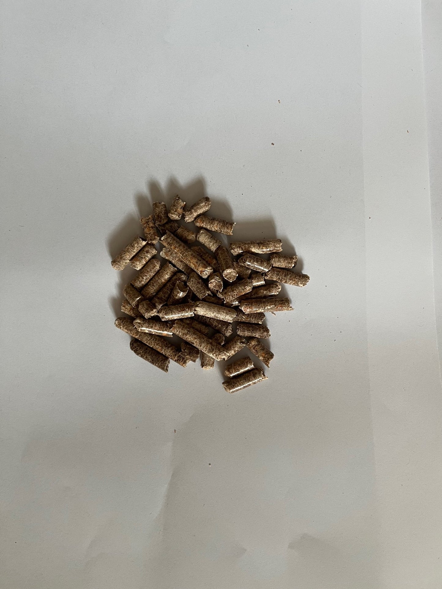 Premium Oak Wood Pellets for Superior Mycelium Growth - Medifungi